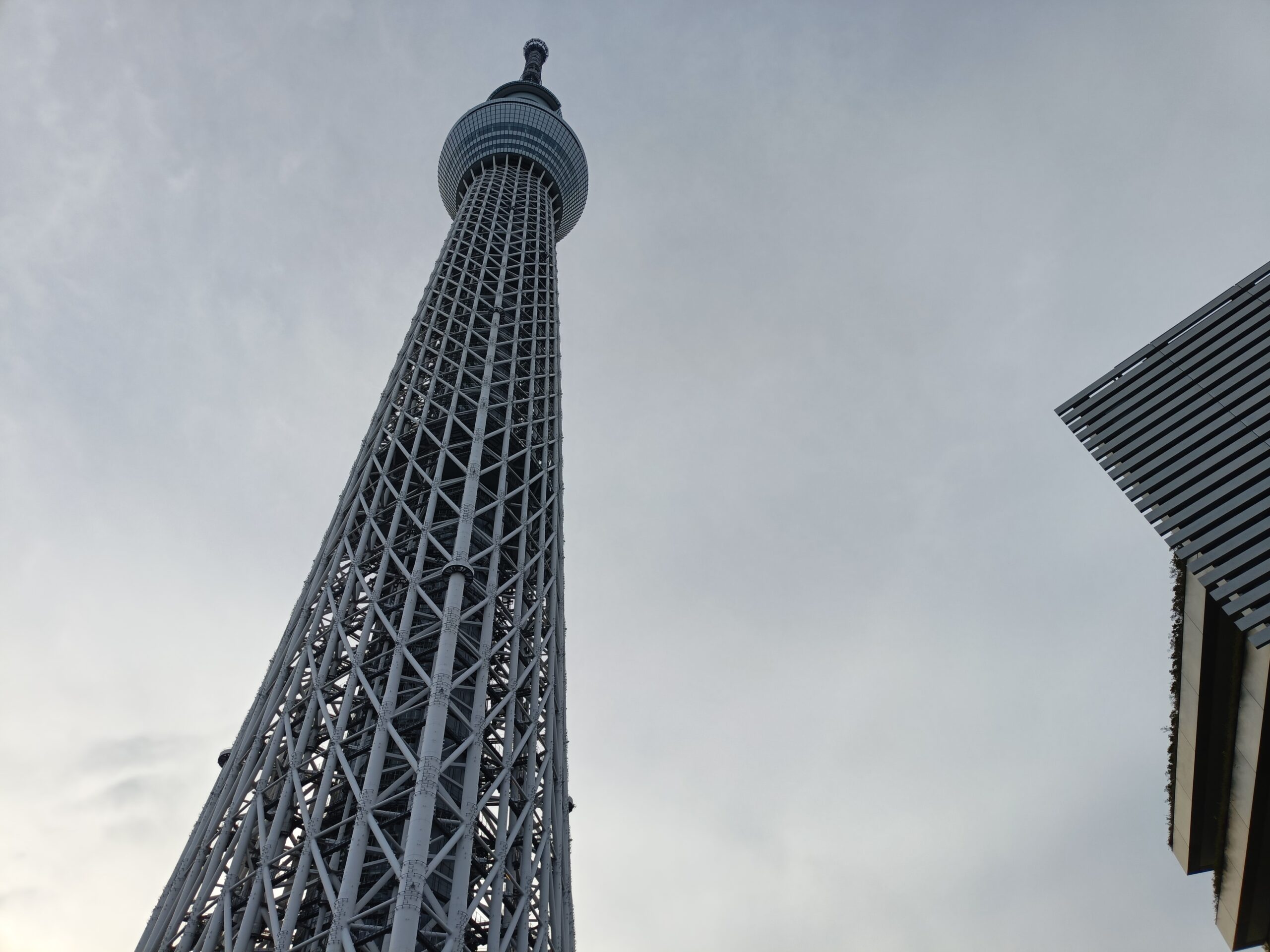 도쿄 스카이트리 전경 - 도쿄 스카이라인의 일본에서 가장 높은 타워