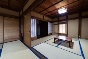Yamasha181026048_TP_V