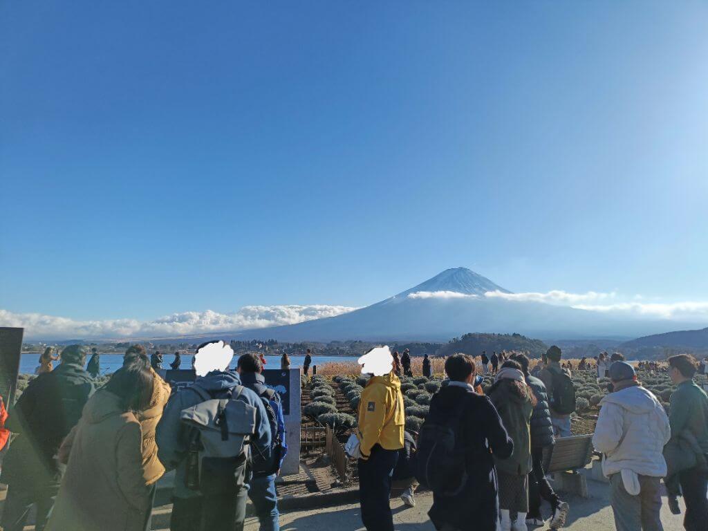 Oishi Park with lavender fields and Mt. Fuji view